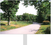 公園